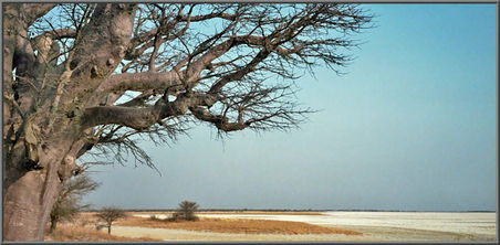 Salzpfanne Botswana